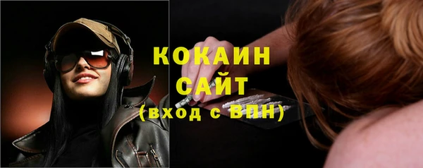 прущие грибы Карпинск