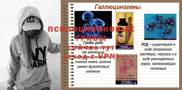 МДПВ Карталы