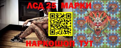 дживик Новозыбков