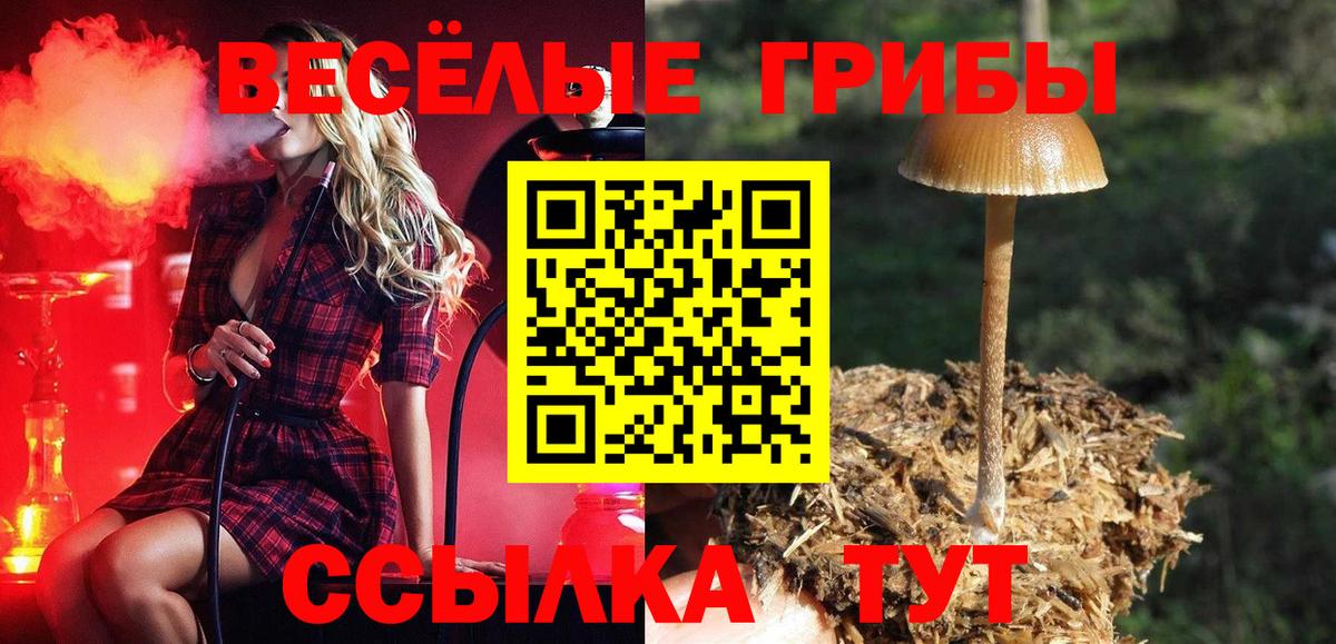 Галлюциногенные грибы прущие грибы  Вход с VPN  Псилоцибиновые грибы Psilocybe  Электрогорск 