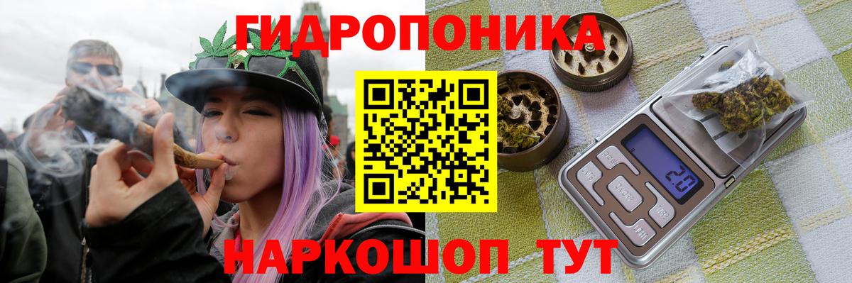 МАРИХУАНА OG Kush  Бошки Шишки Bruce Banner  Бошки Шишки семена  Электрогорск  Каннабис план  Вход с VPN 